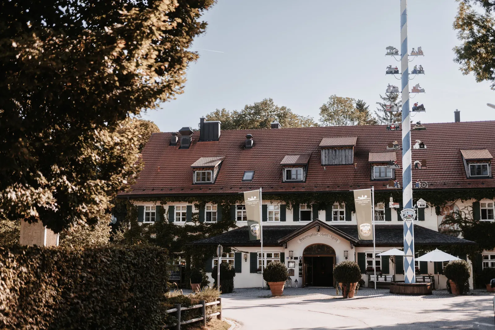 Brauereigasthof Hotel Aying mit Efeufassade und weiß-blauem Maibaum im Sommer
